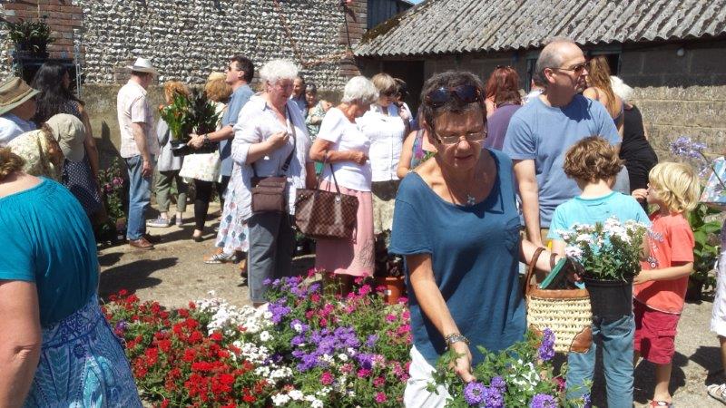 The Binsted Strawberry Fair