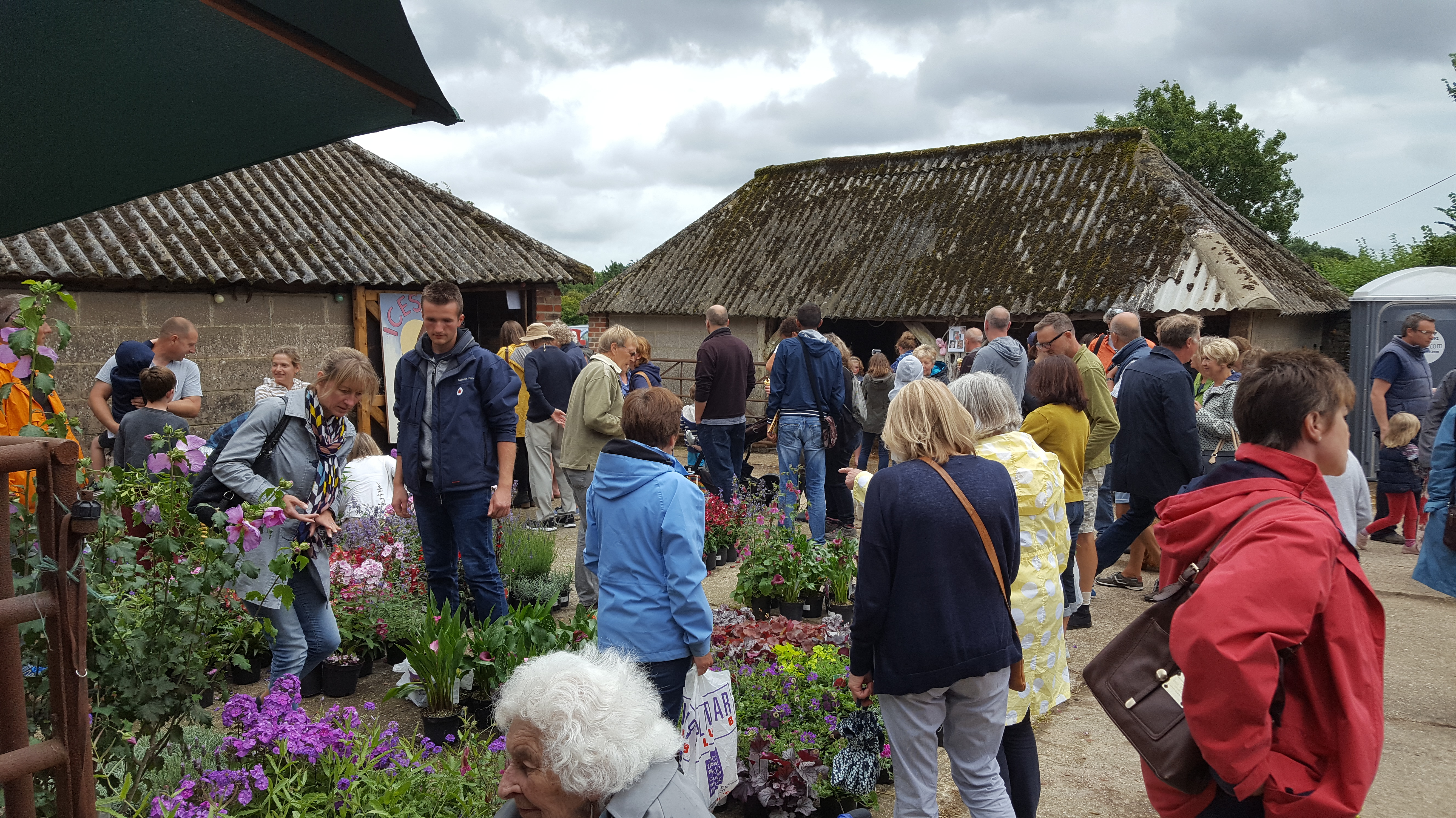 Crowds at Binsted strawberry fair