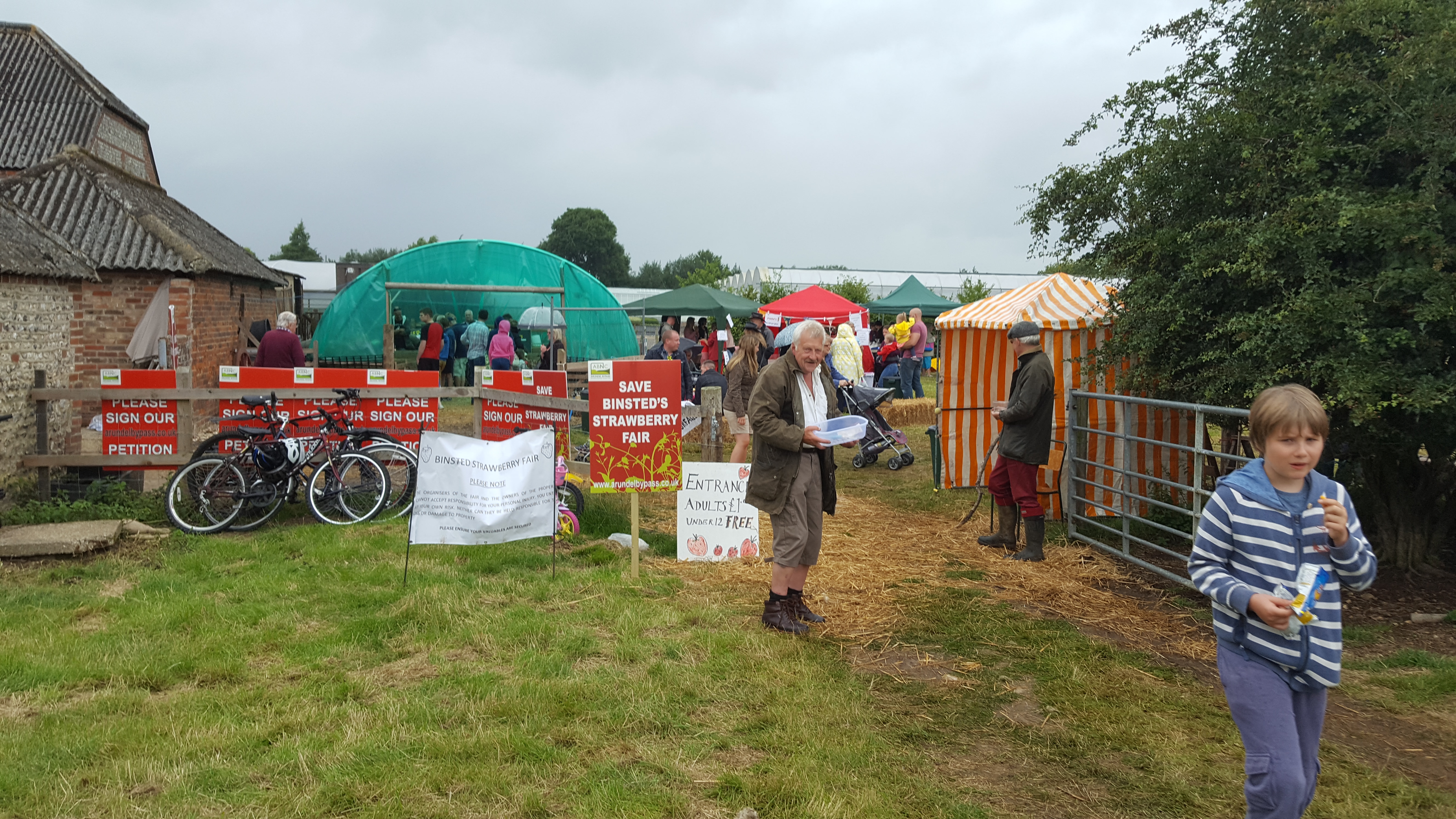 Crowds at Binsted strawberry fair