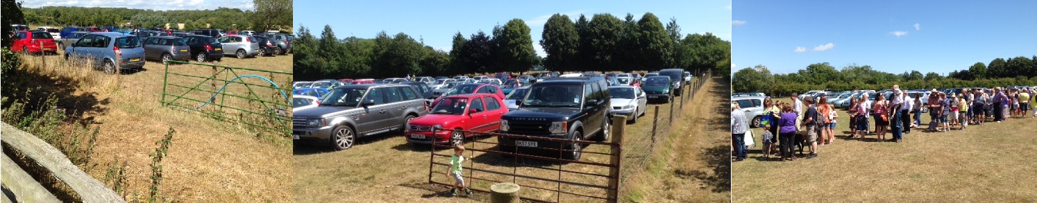 Binsted strawberry fair